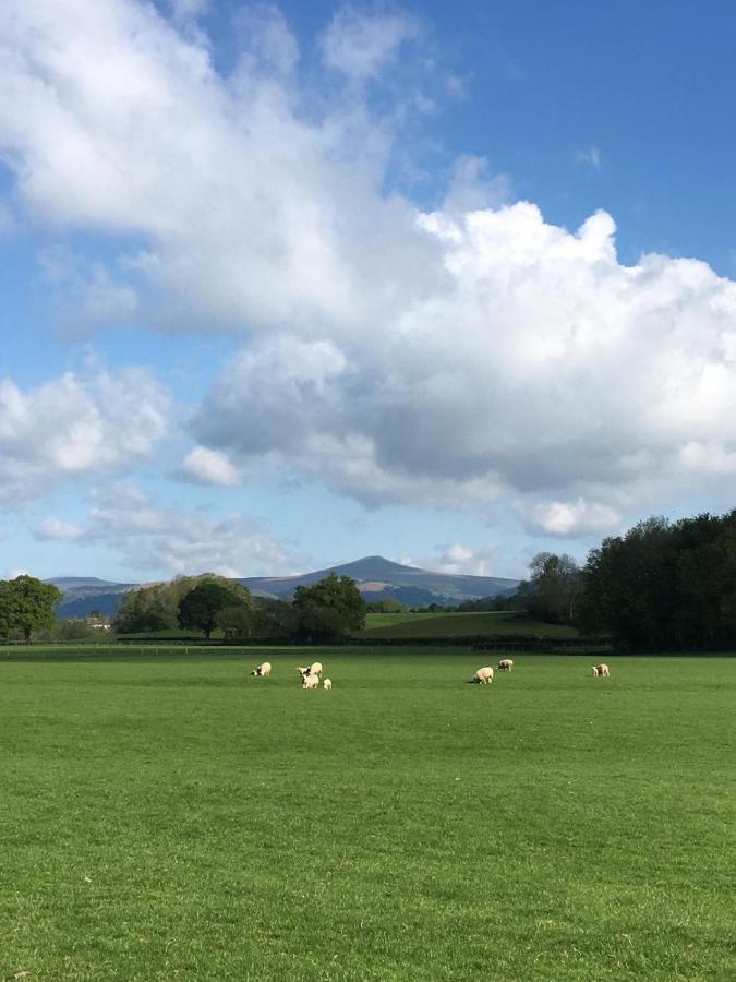 The Old Rectory Bed & Breakfast Abergavenny Buitenkant foto
