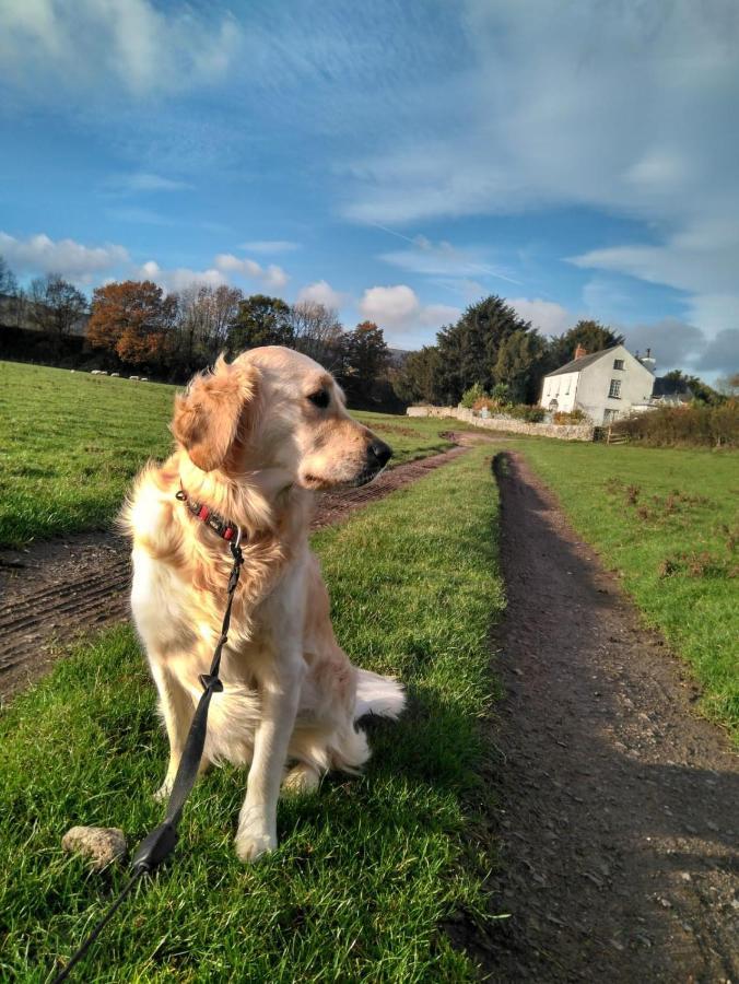 The Old Rectory Bed & Breakfast Abergavenny Buitenkant foto